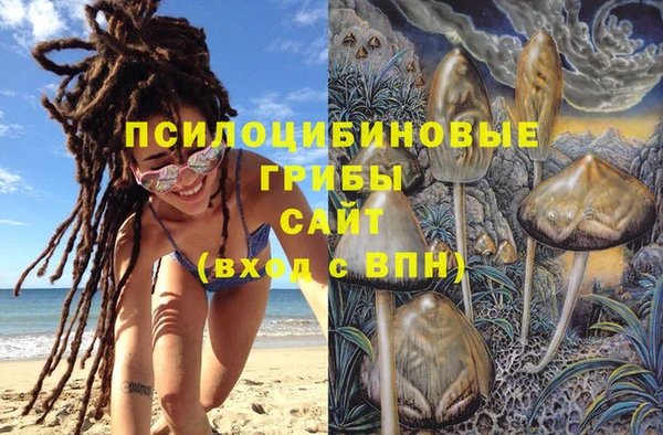 гидра Алексеевка