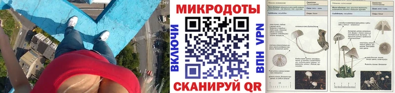 Галлюциногенные грибы Psilocybe  наркошоп  кракен   Нытва 